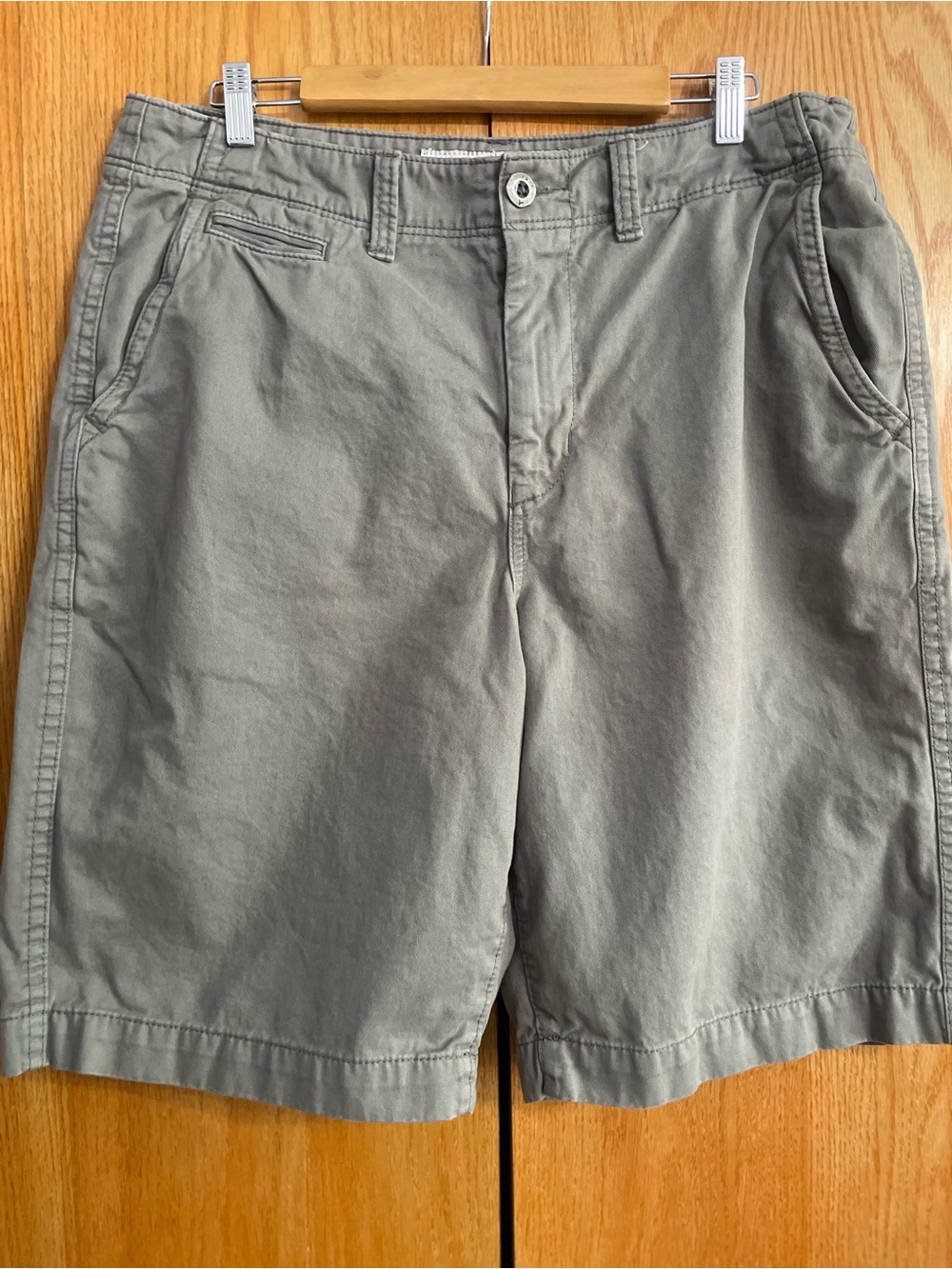 American Eagle Outfitters Olive Green Flat Front Shorts